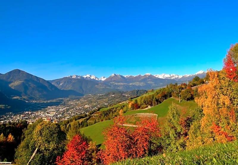 Pension Summererhof image