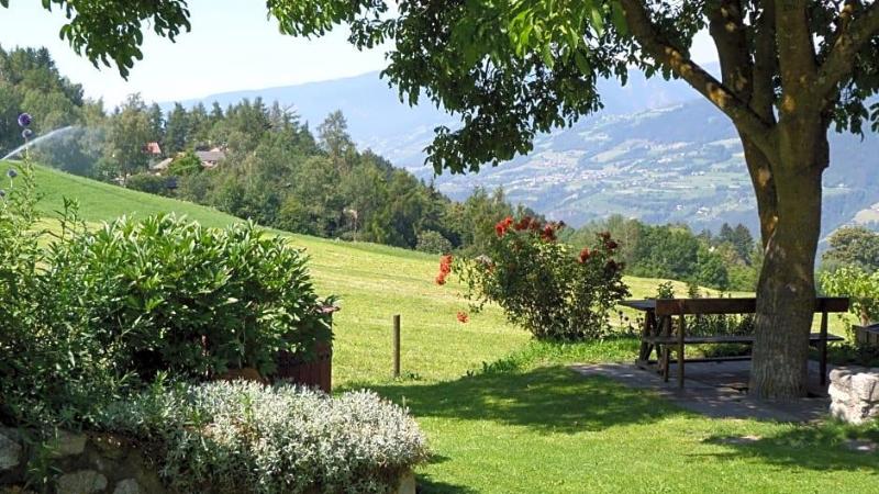 Pension Summererhof image