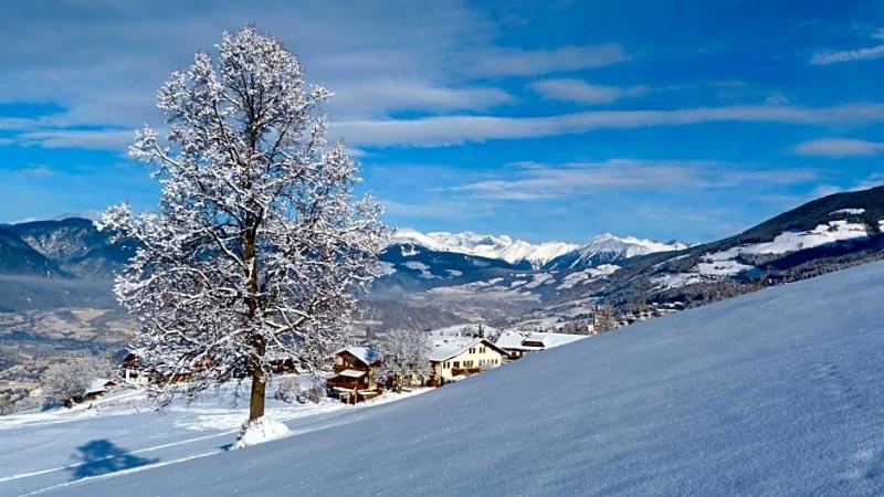Pension Summererhof image