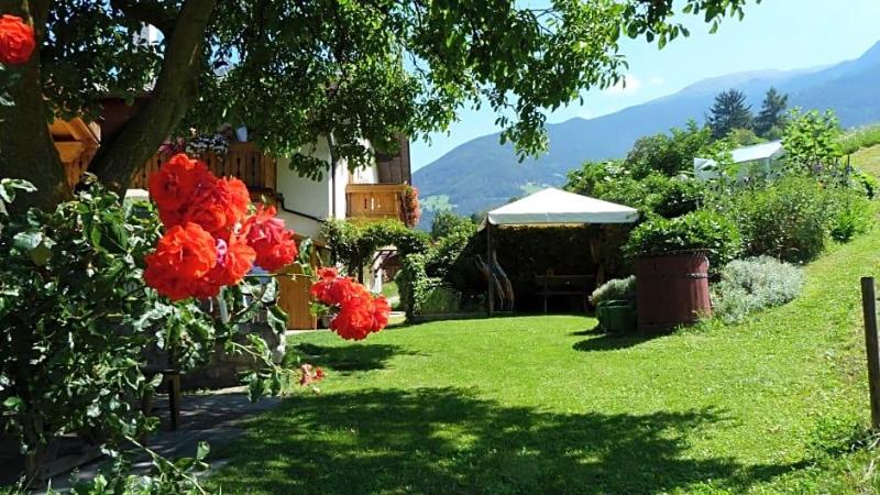 Pension Summererhof image