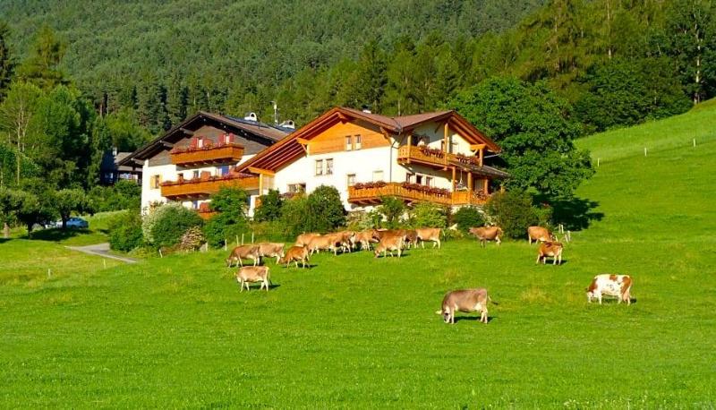 Pension Summererhof image