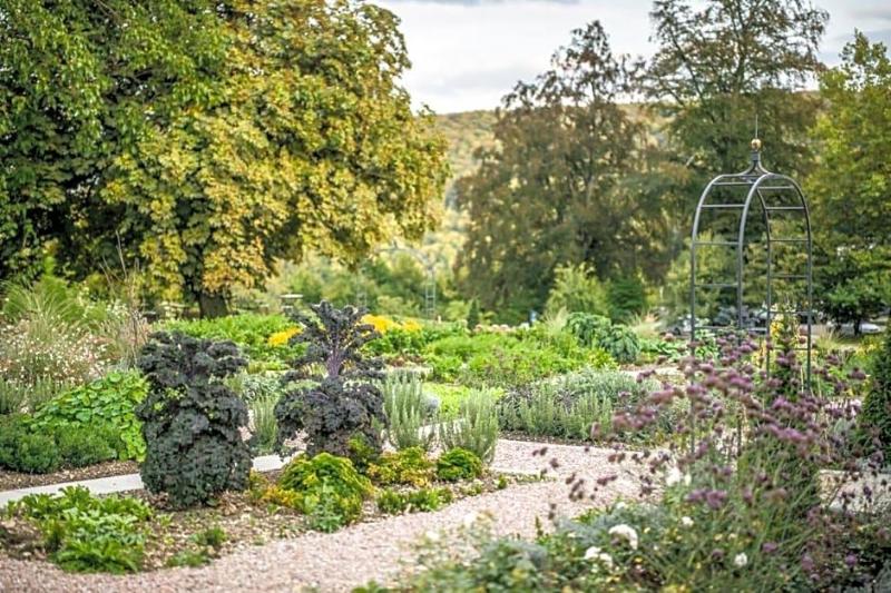 Bad Schauenburg, Hotel image