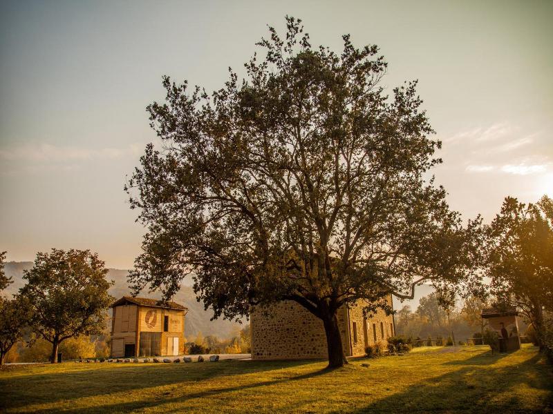 Agriturismo Villagio Della Salute Piu image