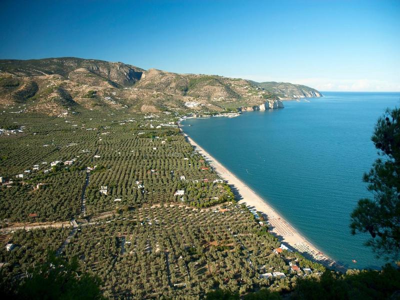 Hotel Apeneste image