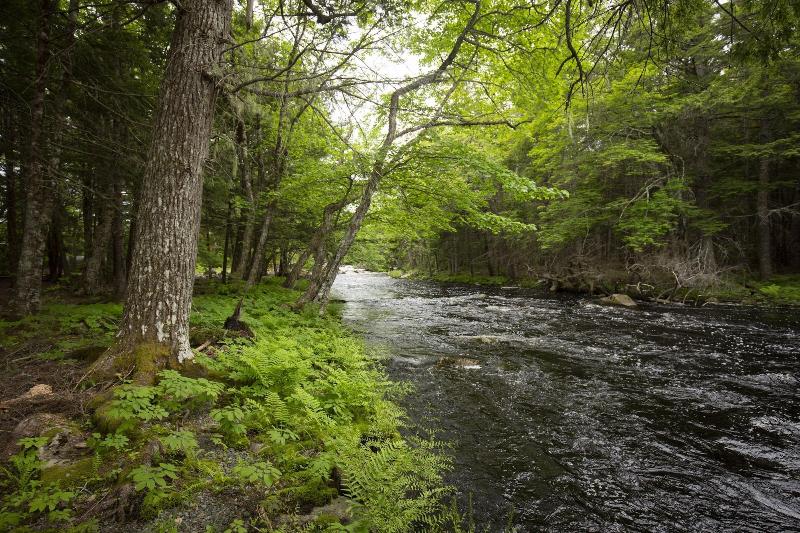 Mersey River Chalets