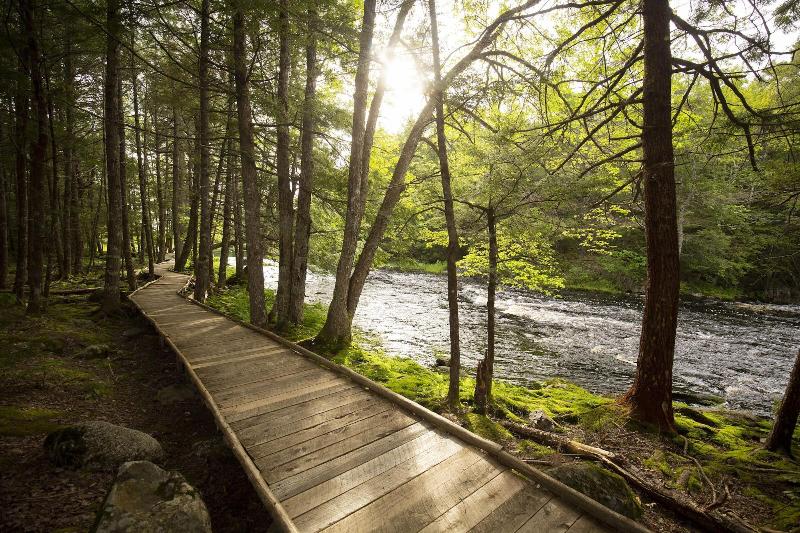 Mersey River Chalets