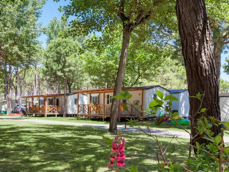 Camping Ca'Pasquali image