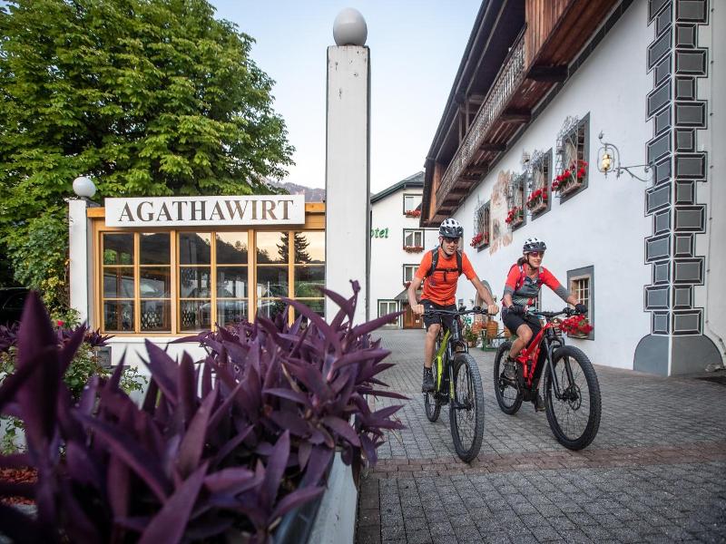 Agathawirt image
