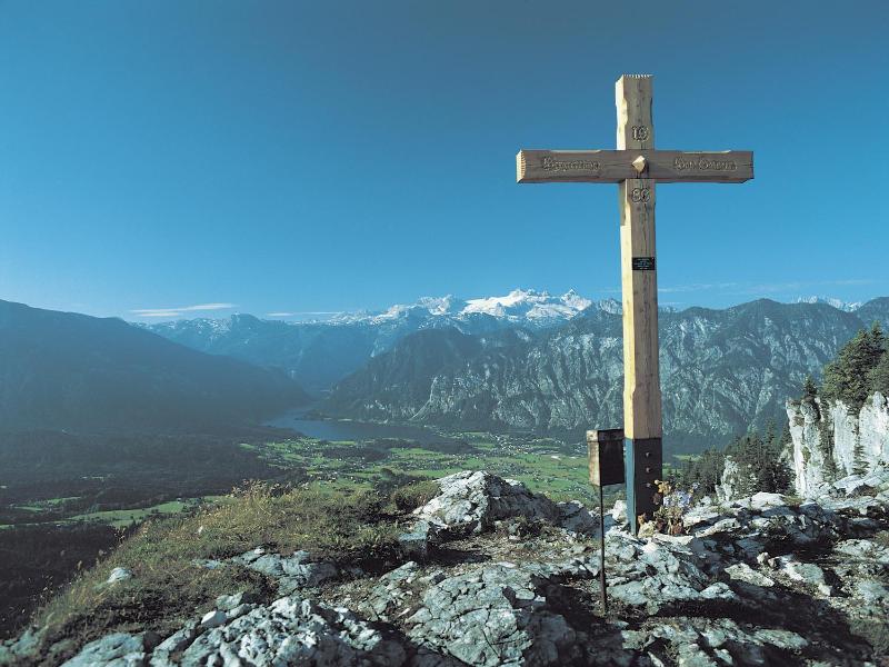 Agathawirt image