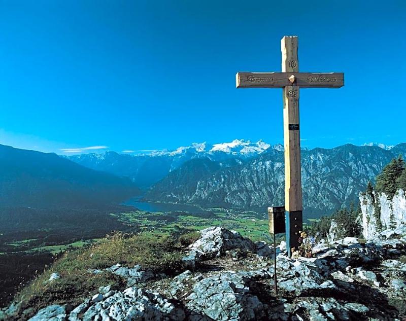 Agathawirt image