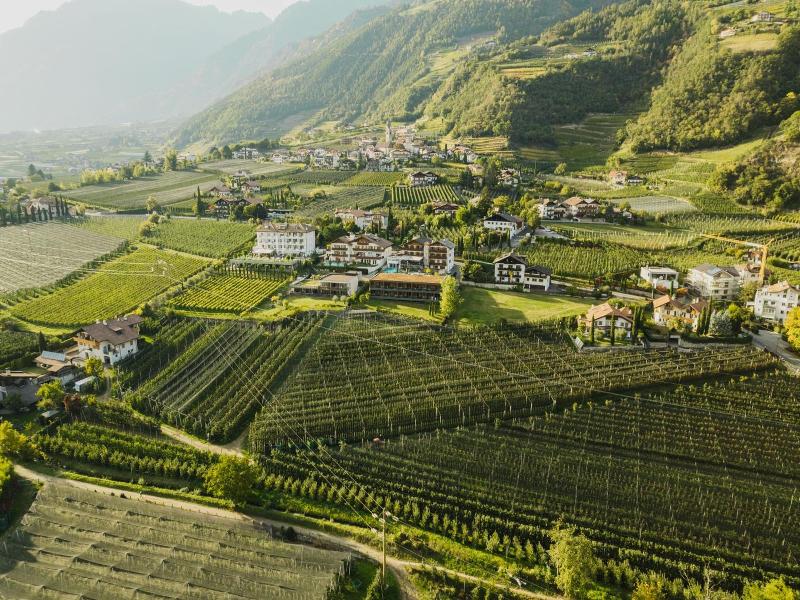 Heinrichshof image