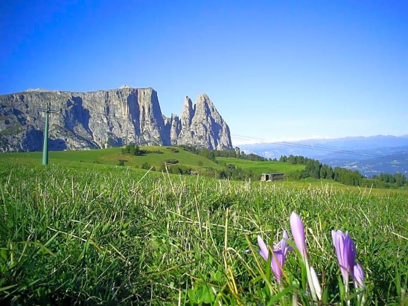 Seiser Alm Urthaler image