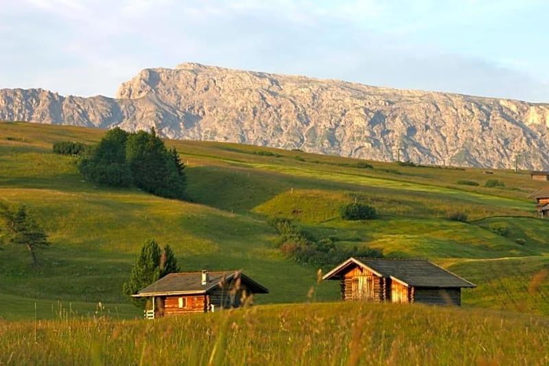 Seiser Alm Urthaler image