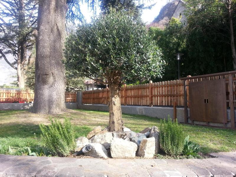 Jasmin image