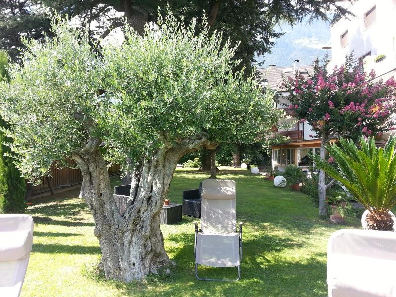Jasmin image