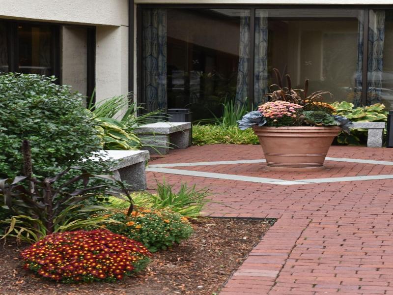 Four Points by Sheraton Norwood image