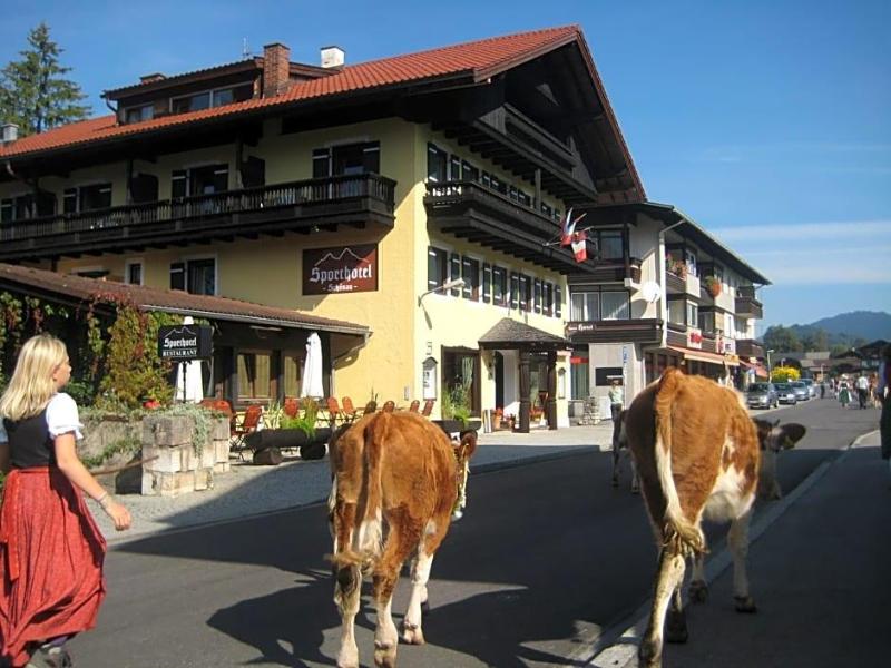 Stoll's Sporthotel image