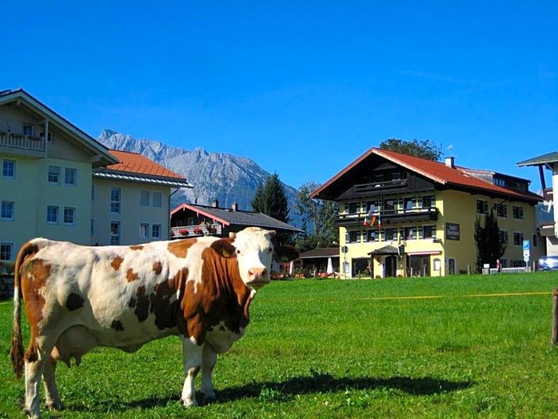 Stoll's Sporthotel image