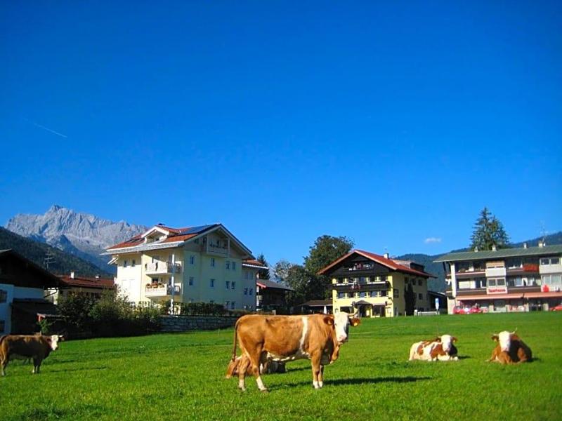 Stoll's Sporthotel image