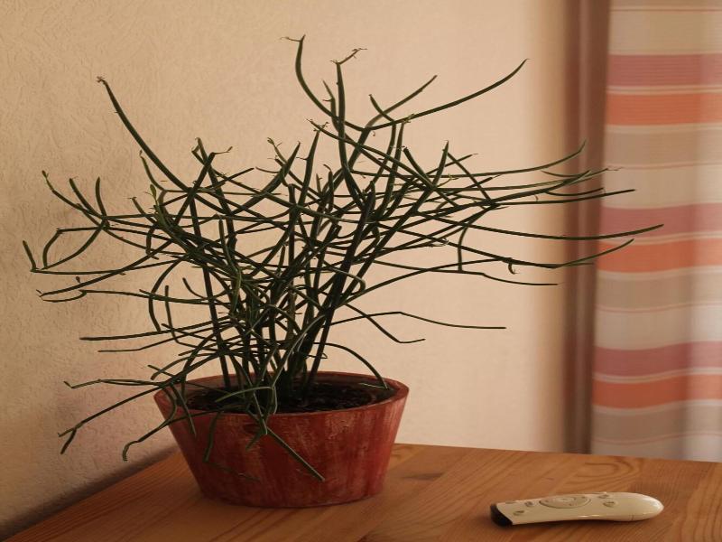 Landhaus Hotel Göke image