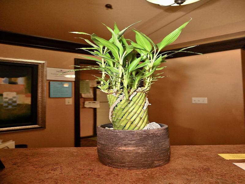 Fortune Inn & Suites