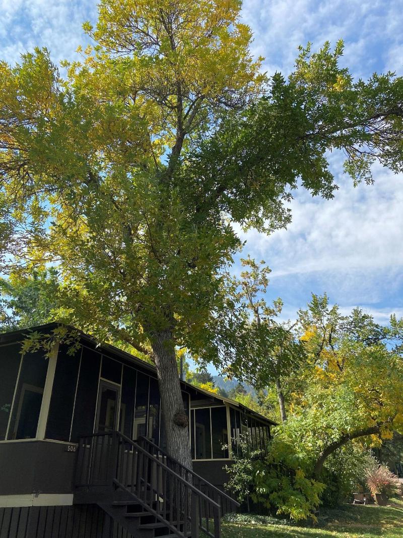 Colorado Chautauqua Cottages image