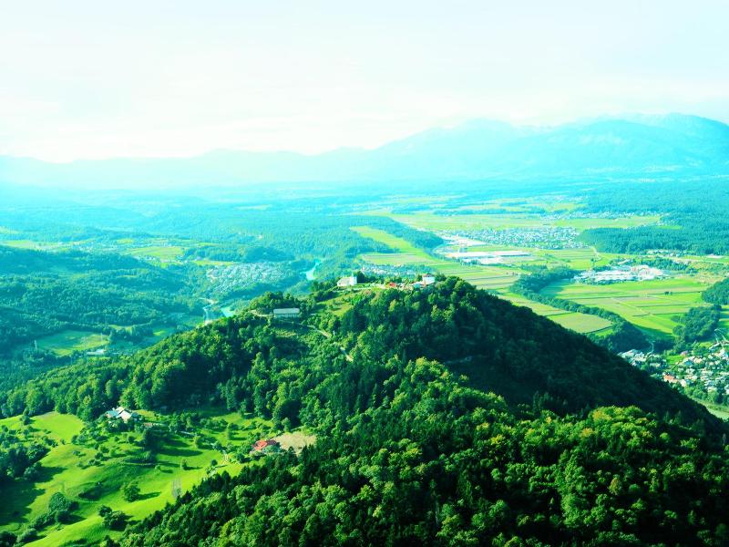 Bellevue image