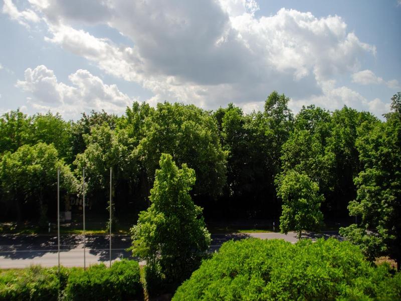 Grunau image