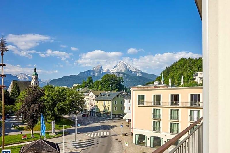 Edelweiss image