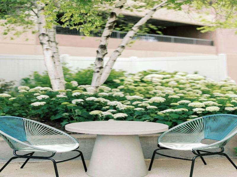 The Westin Edina Galleria — photo 173