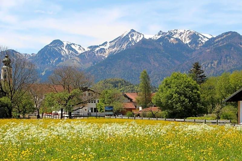 Gasthof Pension Prinzregent image