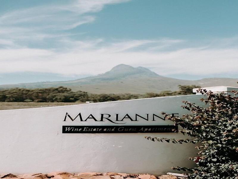 Marianne Wine Estate image