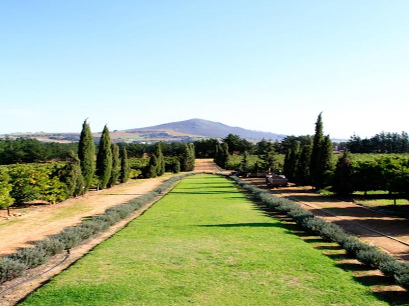 Marianne Wine Estate image