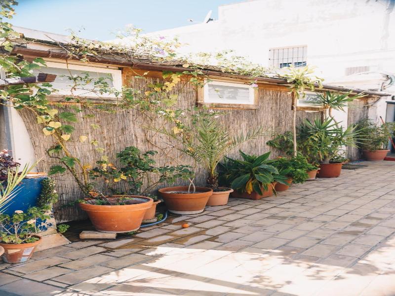 Casa Caracol image