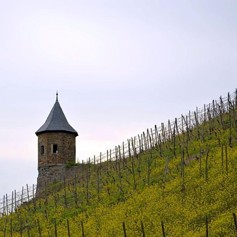 Weinhaus Hoff image
