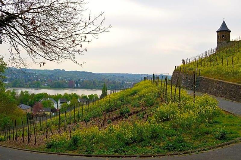 Weinhaus Hoff image