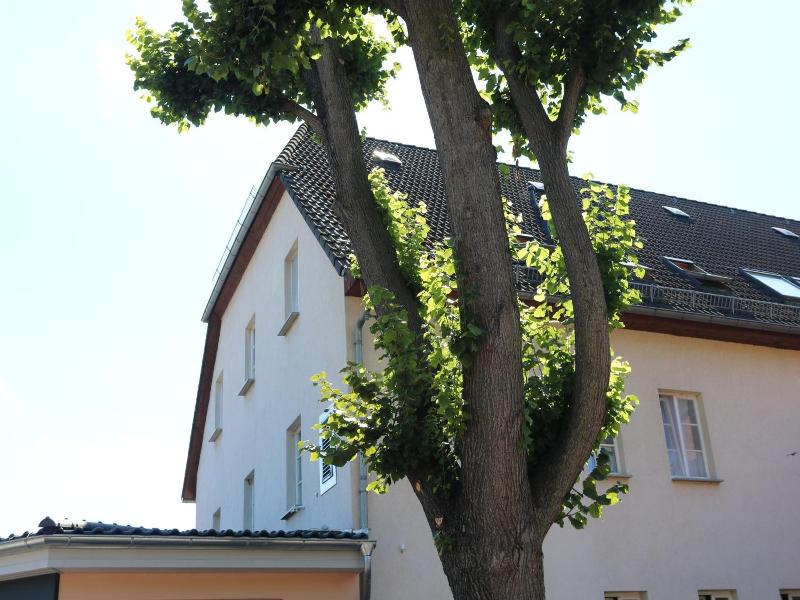 Radduscher Hafen image