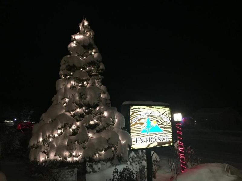 Mountain View Lodge image