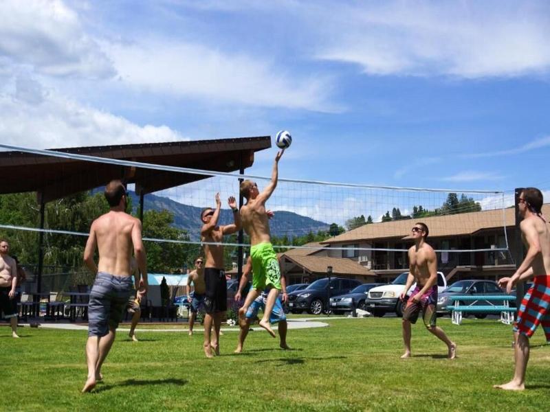 Mountain View Lodge image