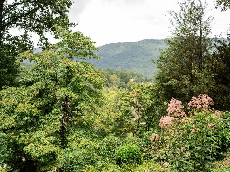 Beechwood Inn - Bed Breakfast image