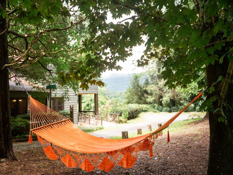 Beechwood Inn - Bed Breakfast image