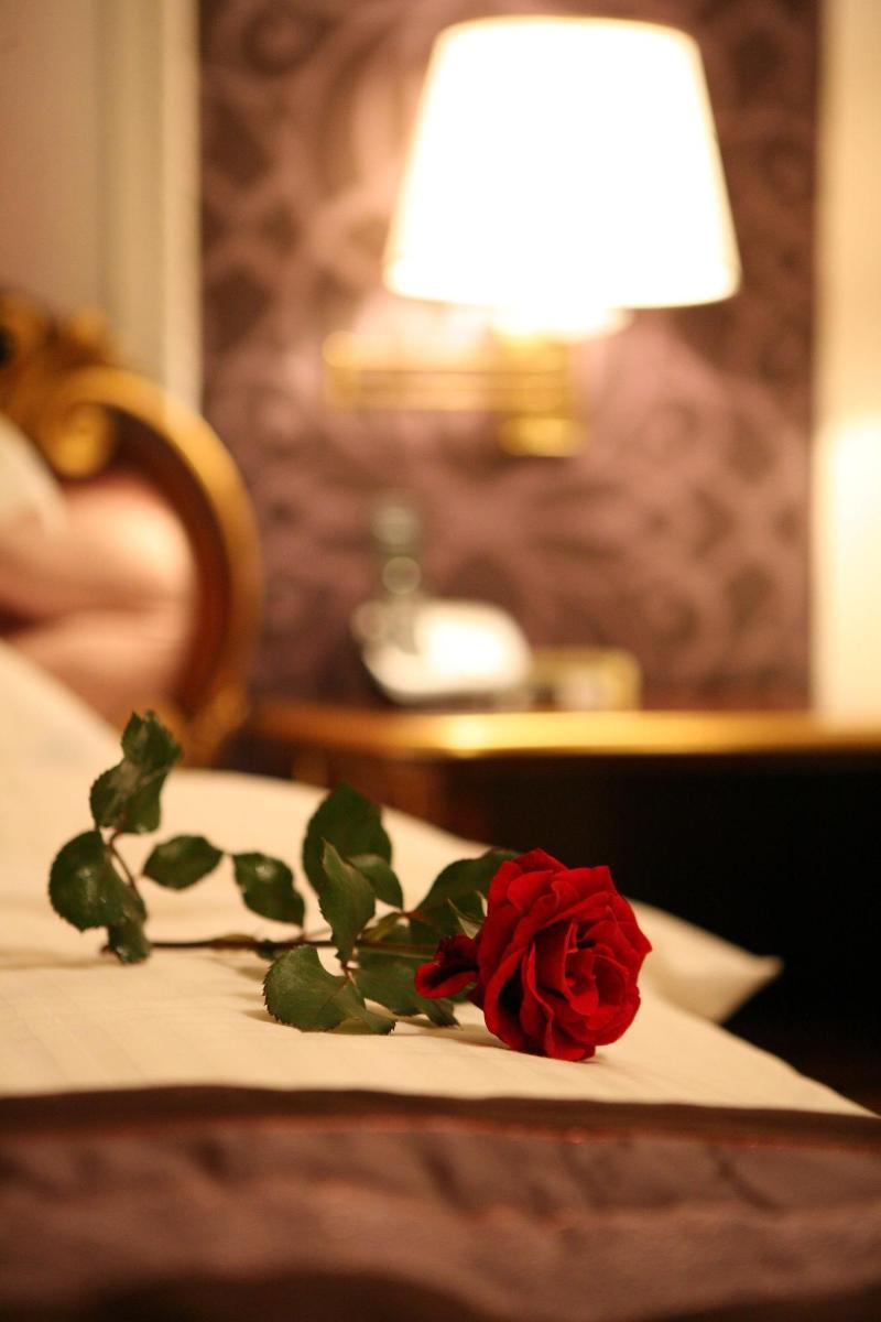 Hotel Vila Viktorija image