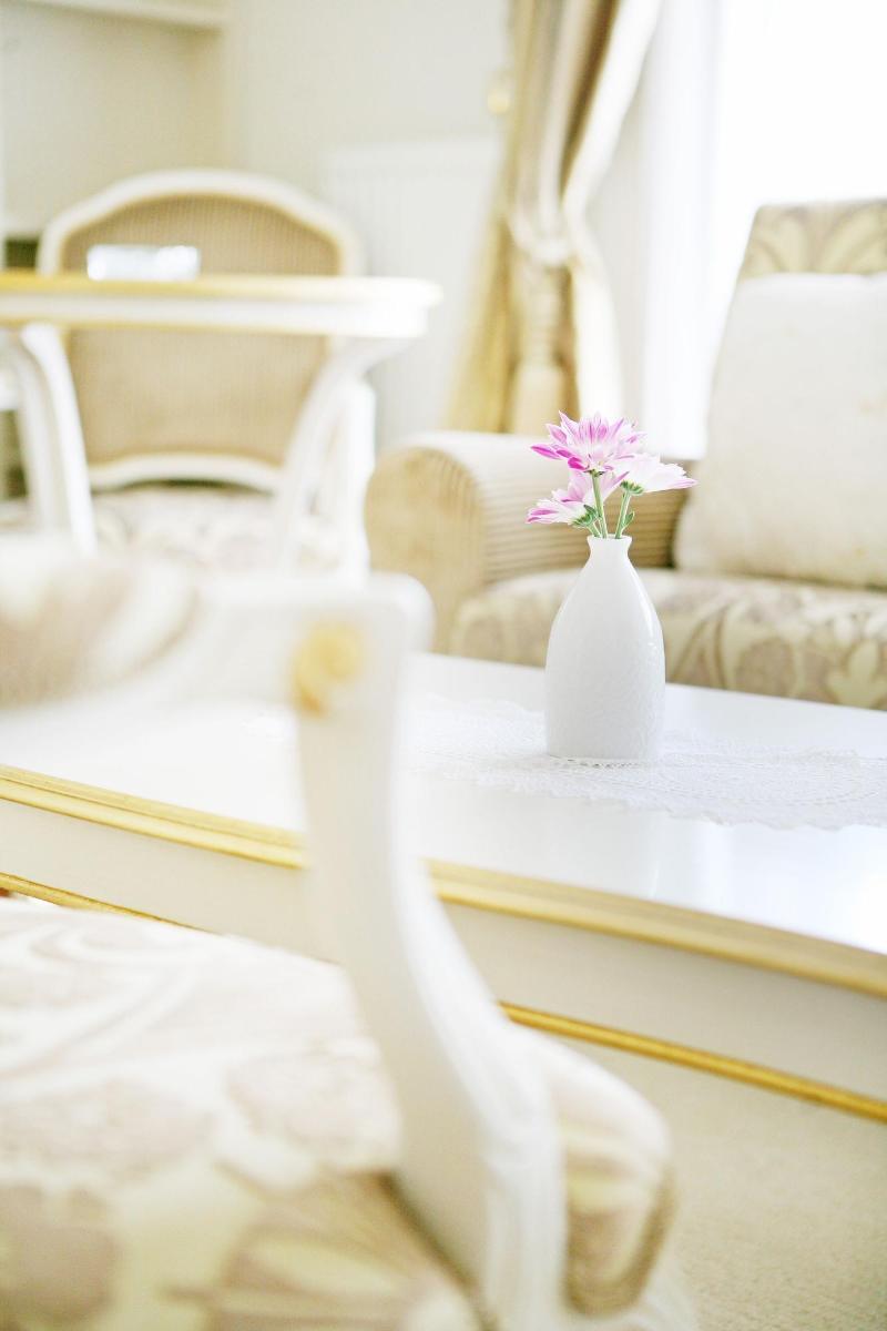 Hotel Vila Viktorija image