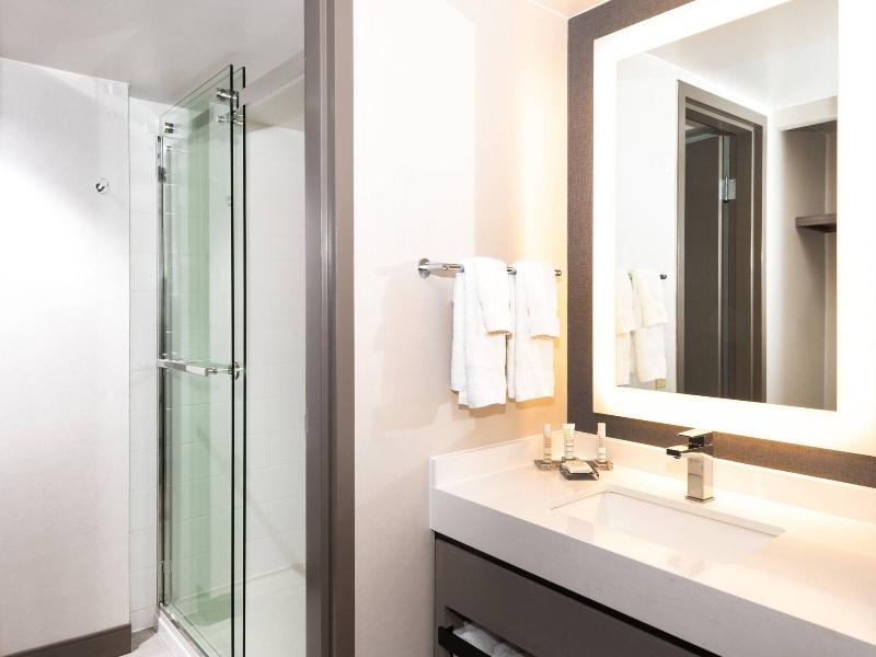 Pittsburgh Airport Marriott image
