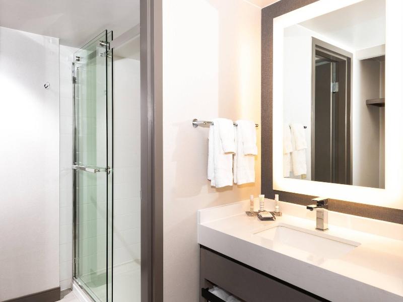 Pittsburgh Airport Marriott image