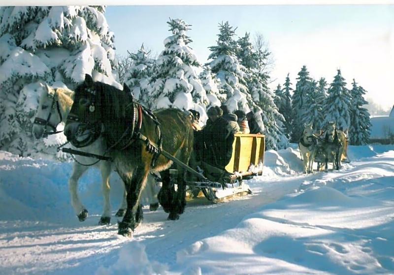 Berghof image