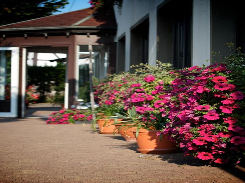 Adler Golf- & Tagungshotel image