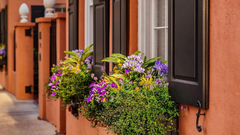 Elliott House Inn image