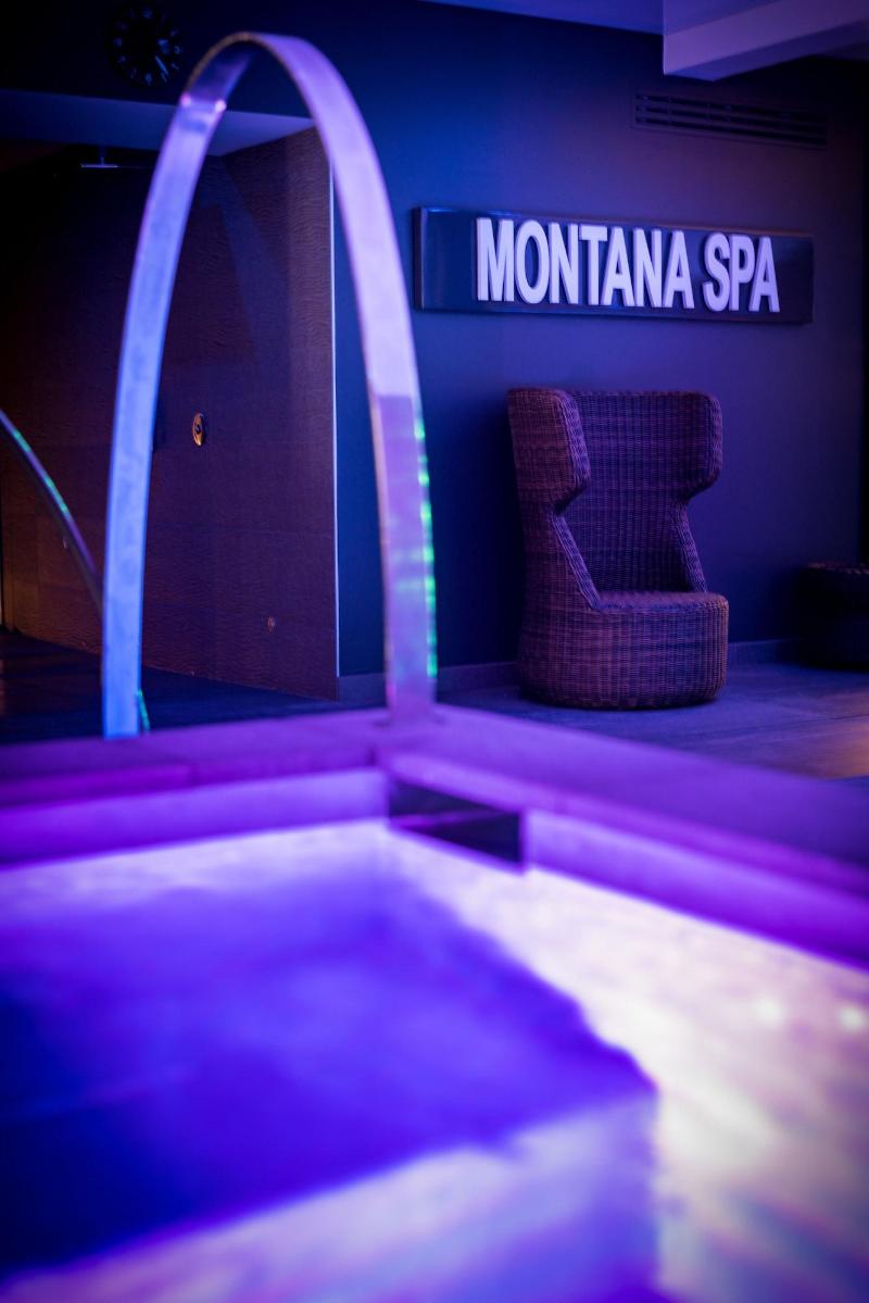 Montana Chalet Hôtel image