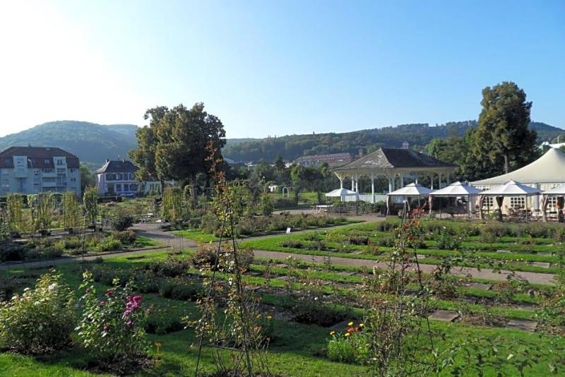 Hotel F1 Saverne Monswiller image